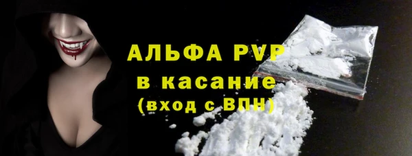 прущие грибы Верея
