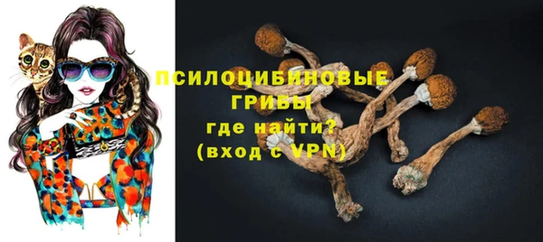 мдпв Волоколамск